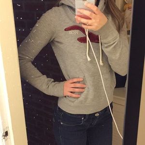Hollister hoodie